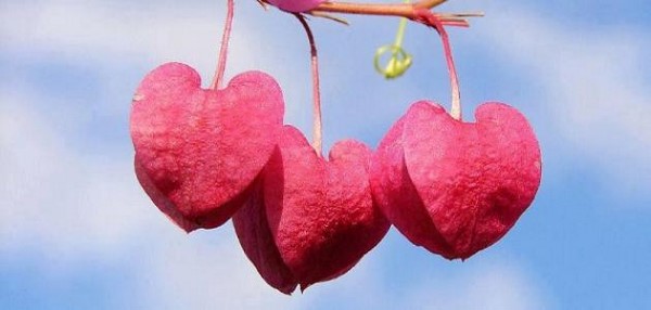 ماذا قال نزار القباني عن الاهتمام؟ ماذا قال نزار القباني عن الاهتمام؟